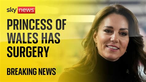 bbc news princess of wales|princess of wales breaking news now.